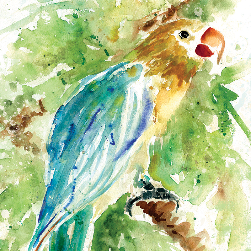 watercolor parrot 01