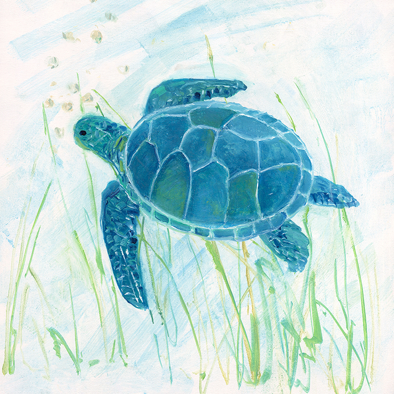 seagrass turtle 02