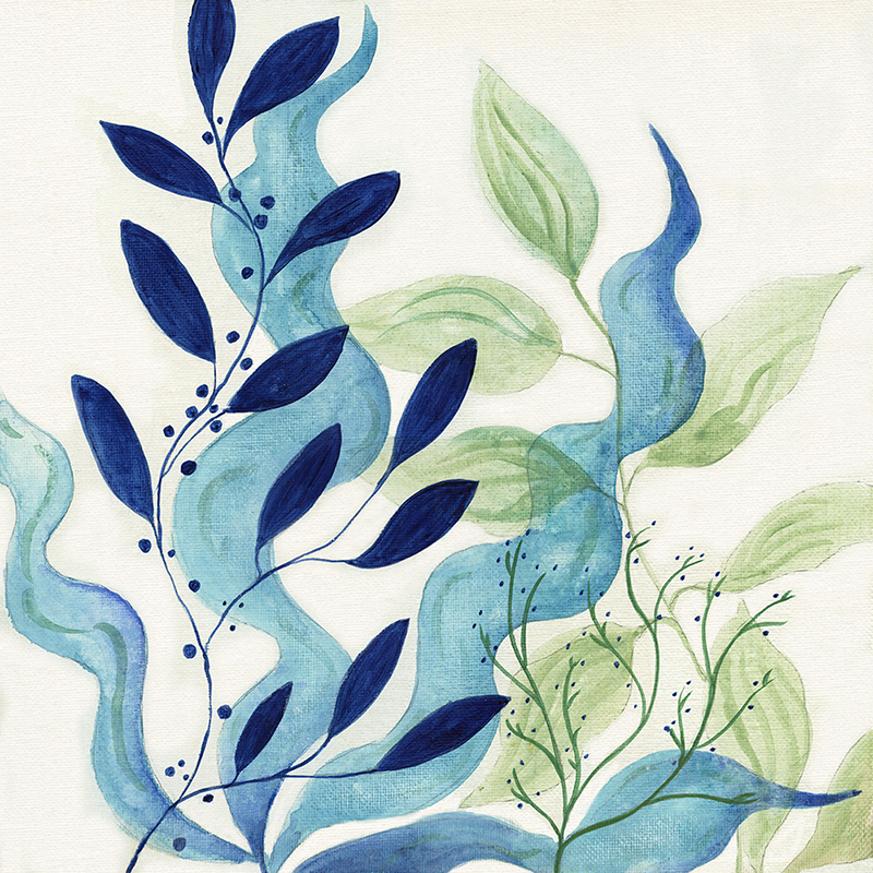 watercolor kelp 01