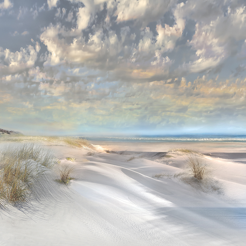 white dunes 02