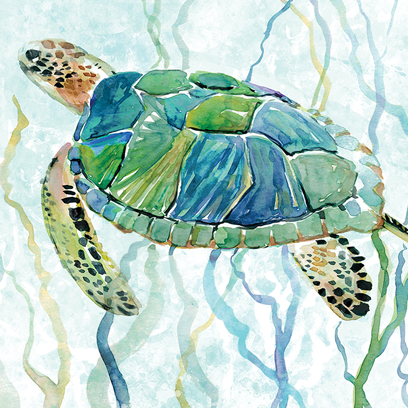 sea turtle in green 02