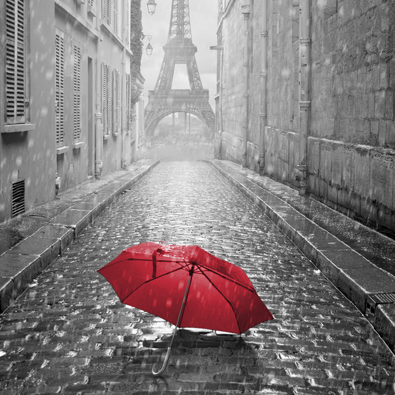 cityscape grey & red ~ eiffel tower ~ paris