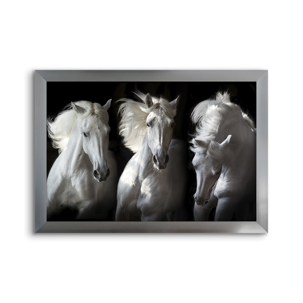 horse trio