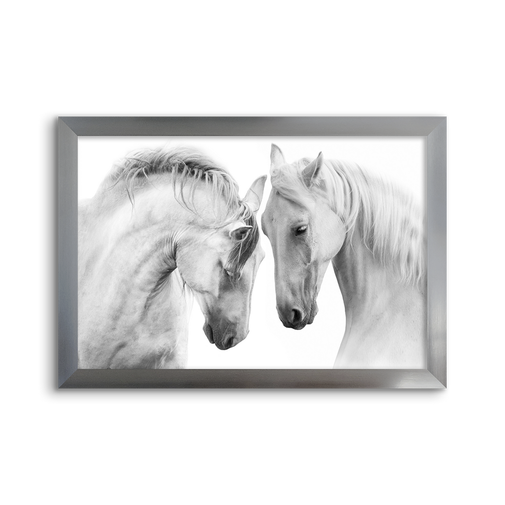 horse pair