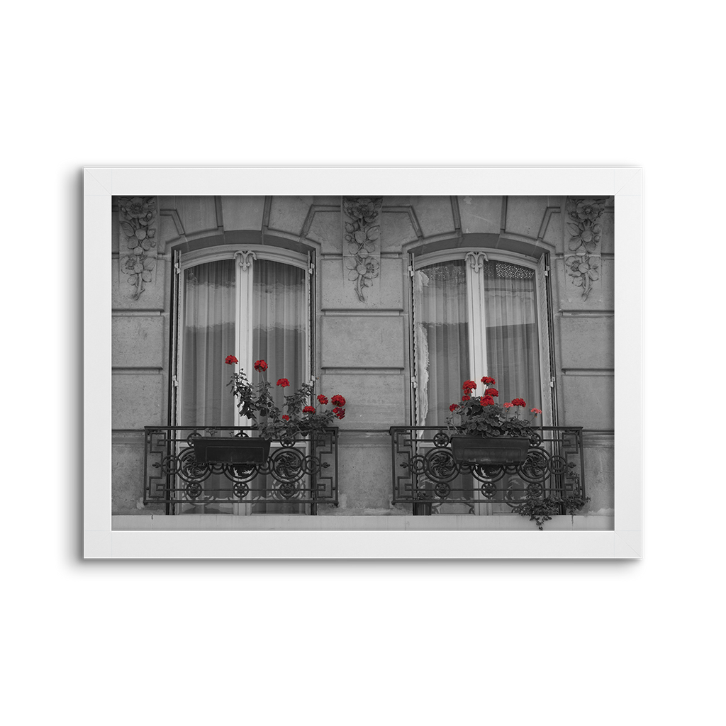 windows with red flowers