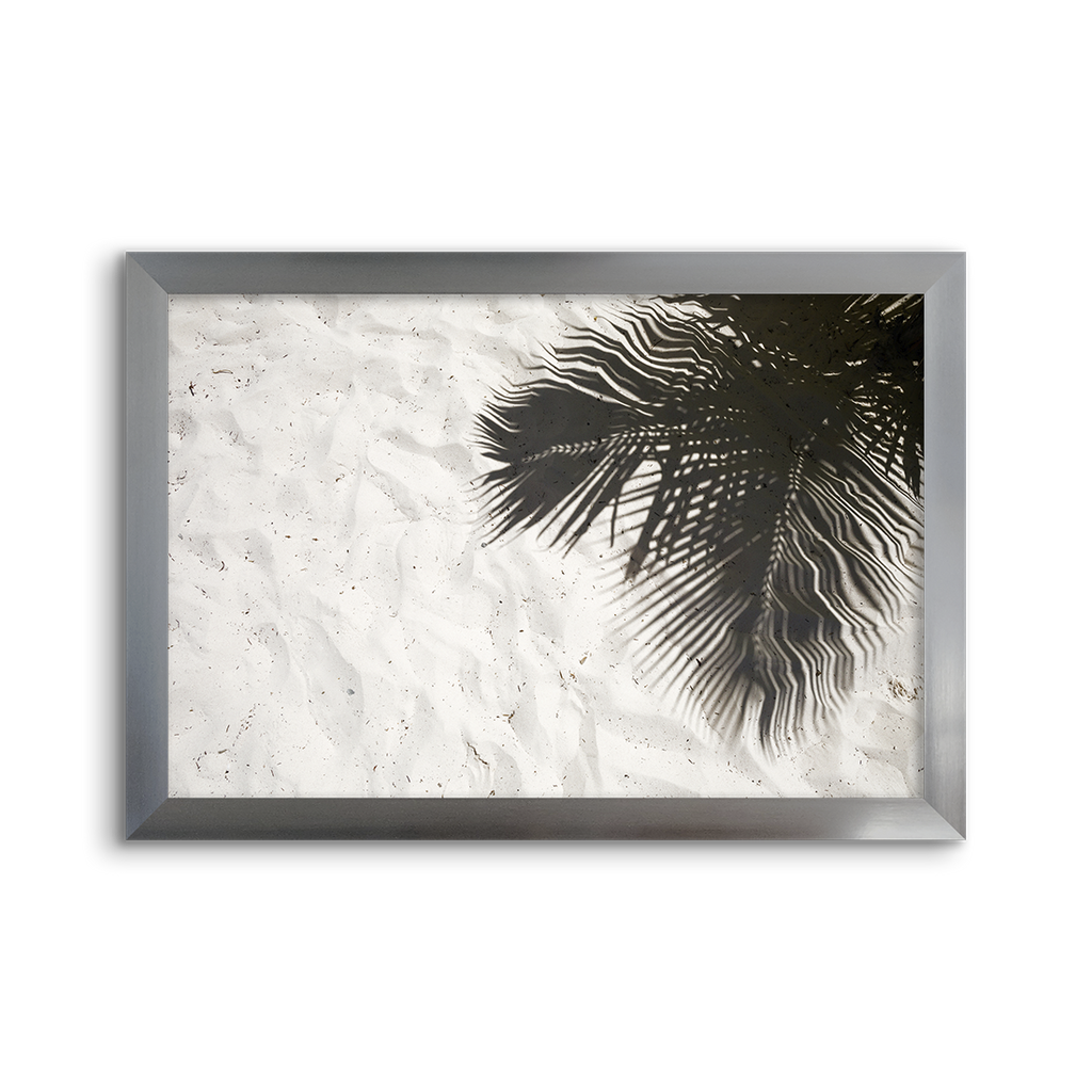 palm shadow 02