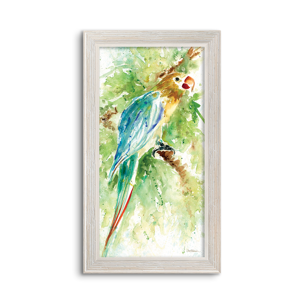 watercolor parrot 01