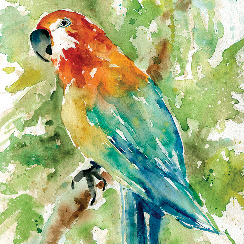 watercolor parrot 02