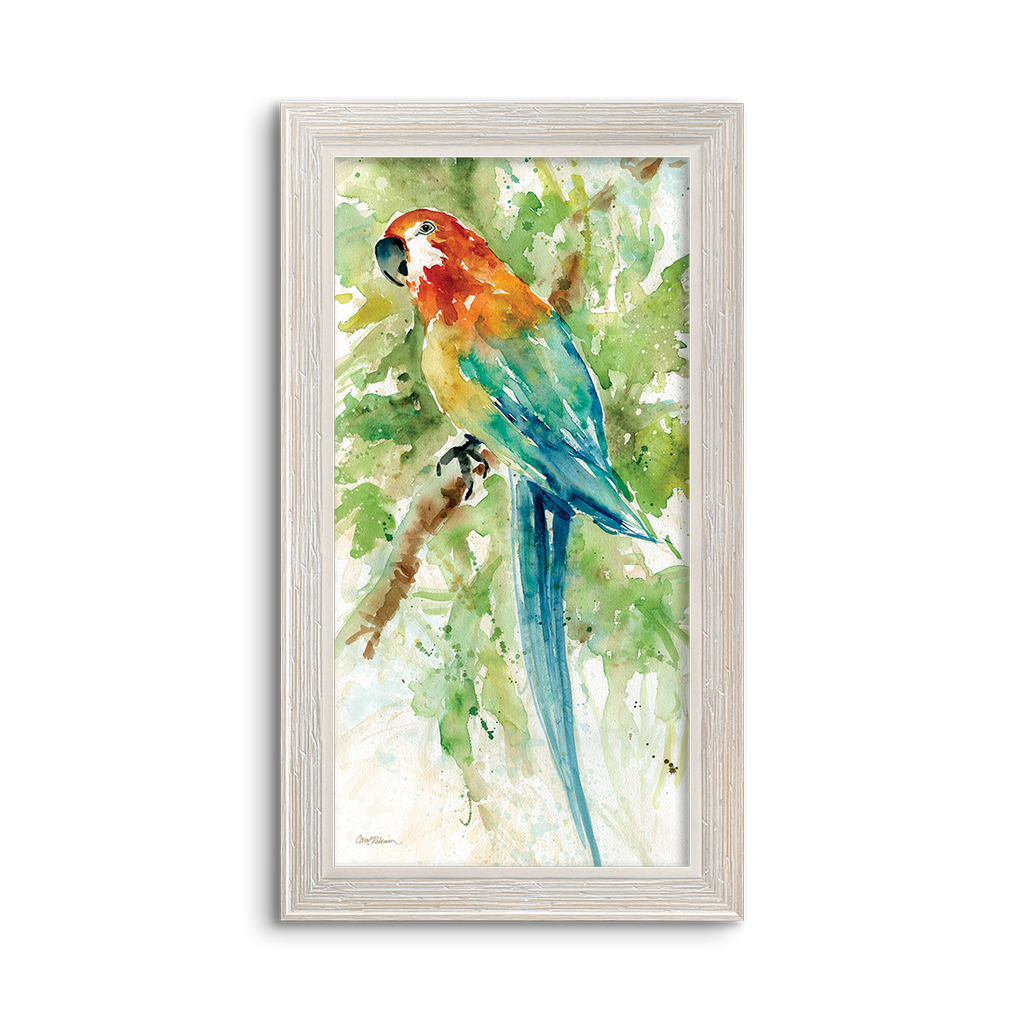 watercolor parrot 02