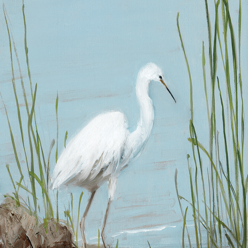 seagrass egret 01