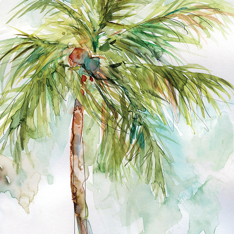 coconut palm 01
