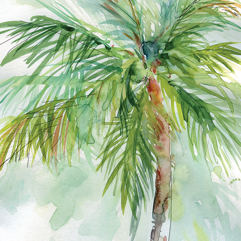 coconut palm 02