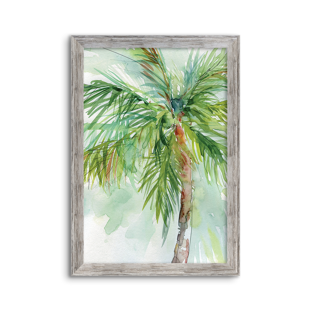 coconut palm 02