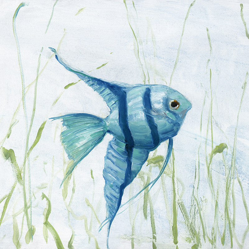 seagrass fish 01