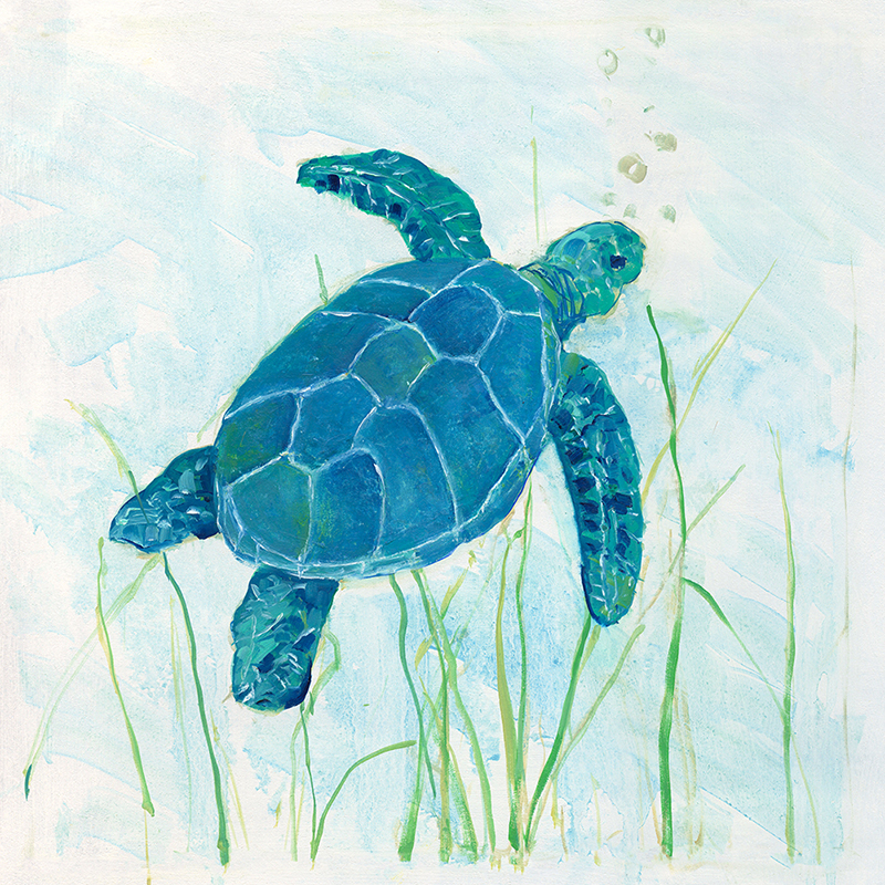 seagrass turtle 01