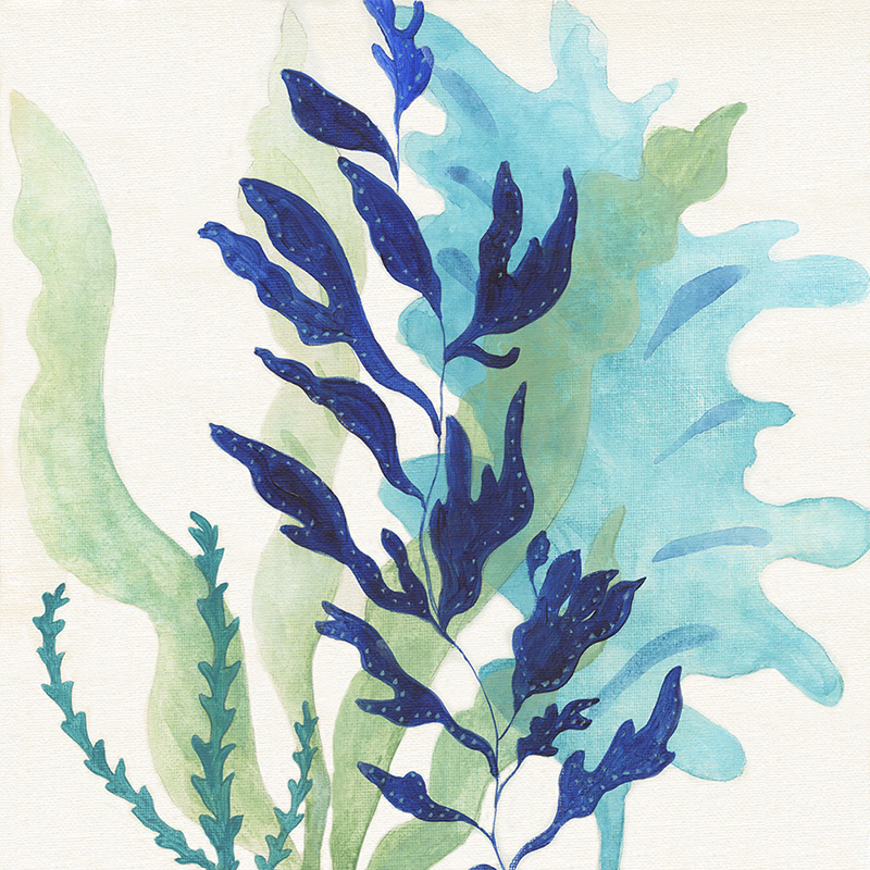 watercolor kelp 02