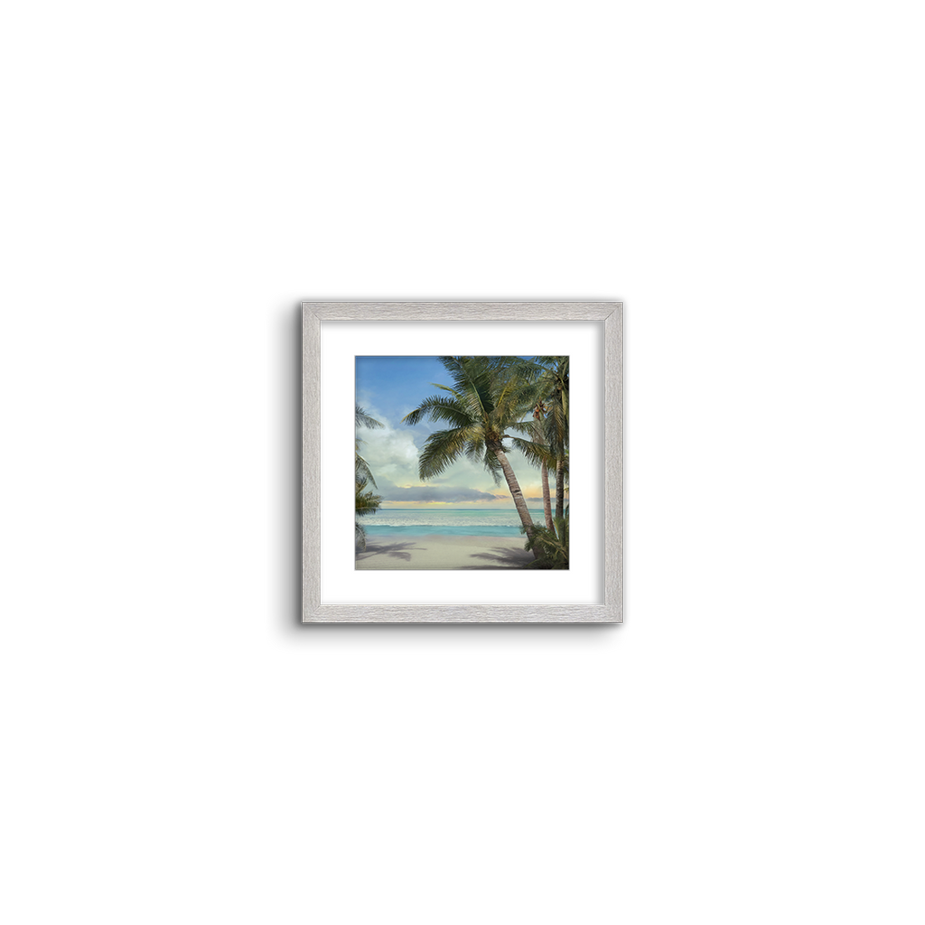 palm beach 02