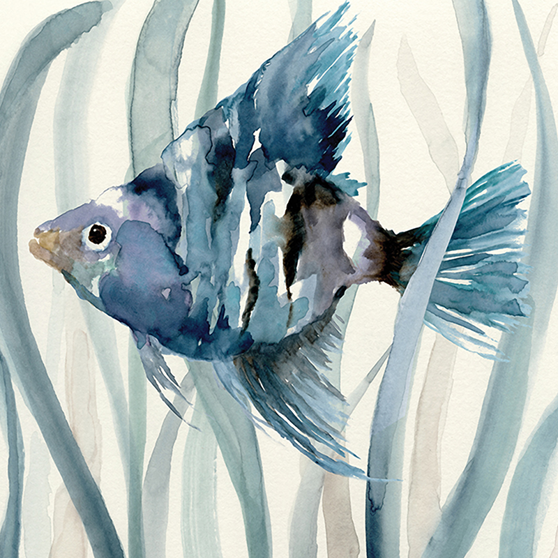 blue kelp fish 02