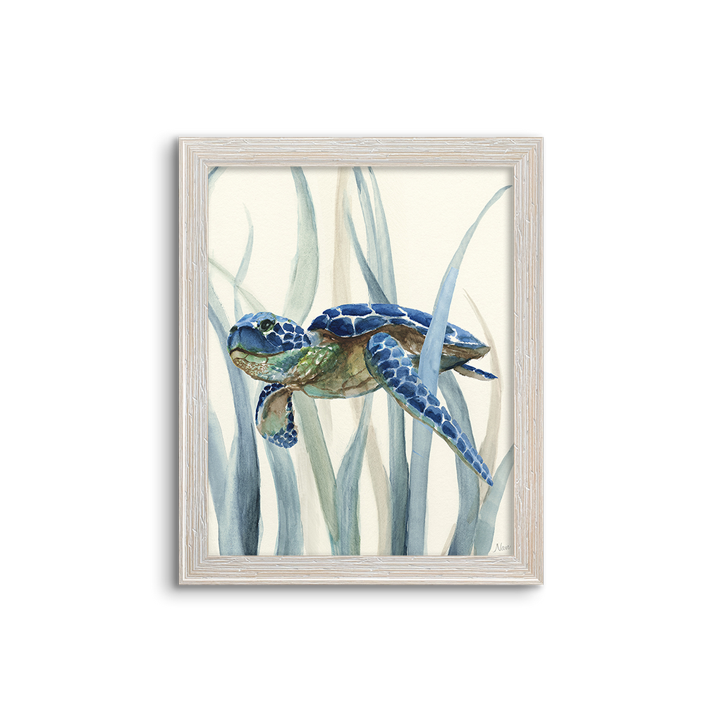 blue kelp turtle 02