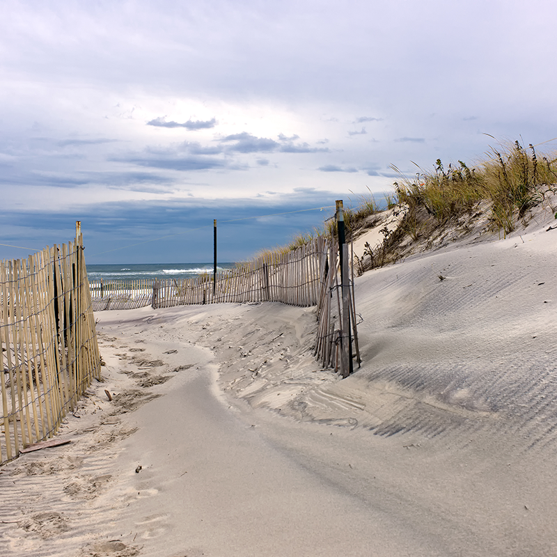 great dune pathway