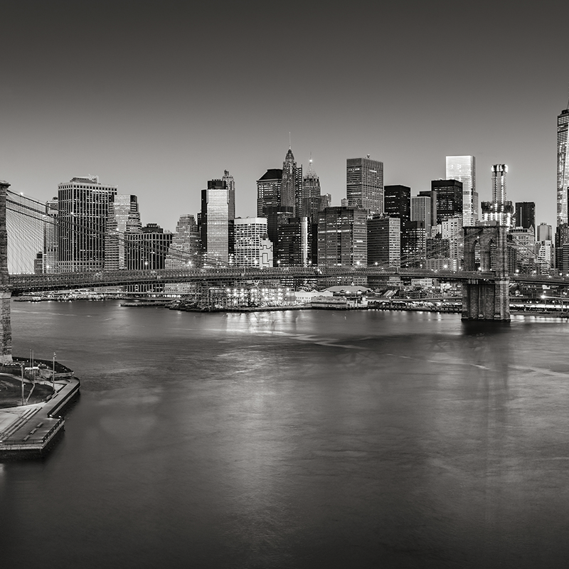 cityscape new york ~ brooklyn bridge skyline