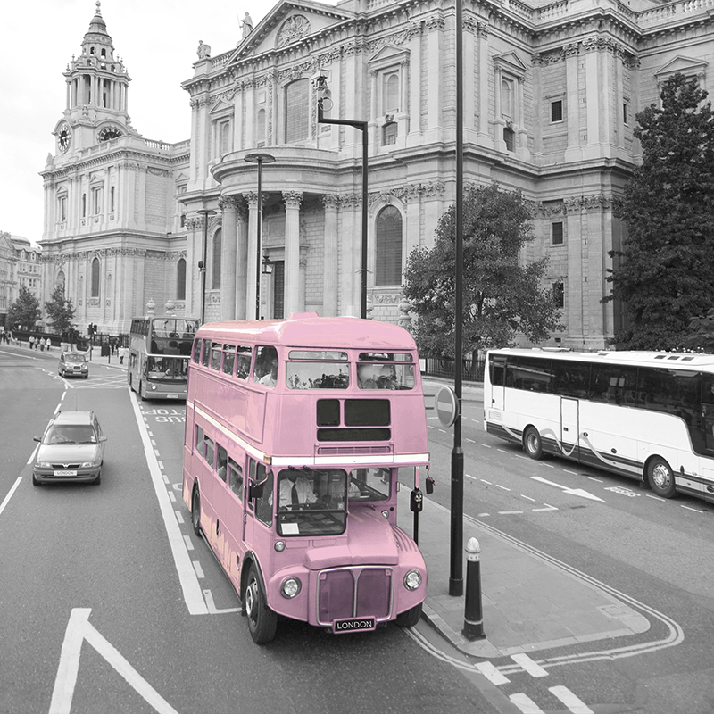 cityscape grey & pink ~ st. paul's ~ london