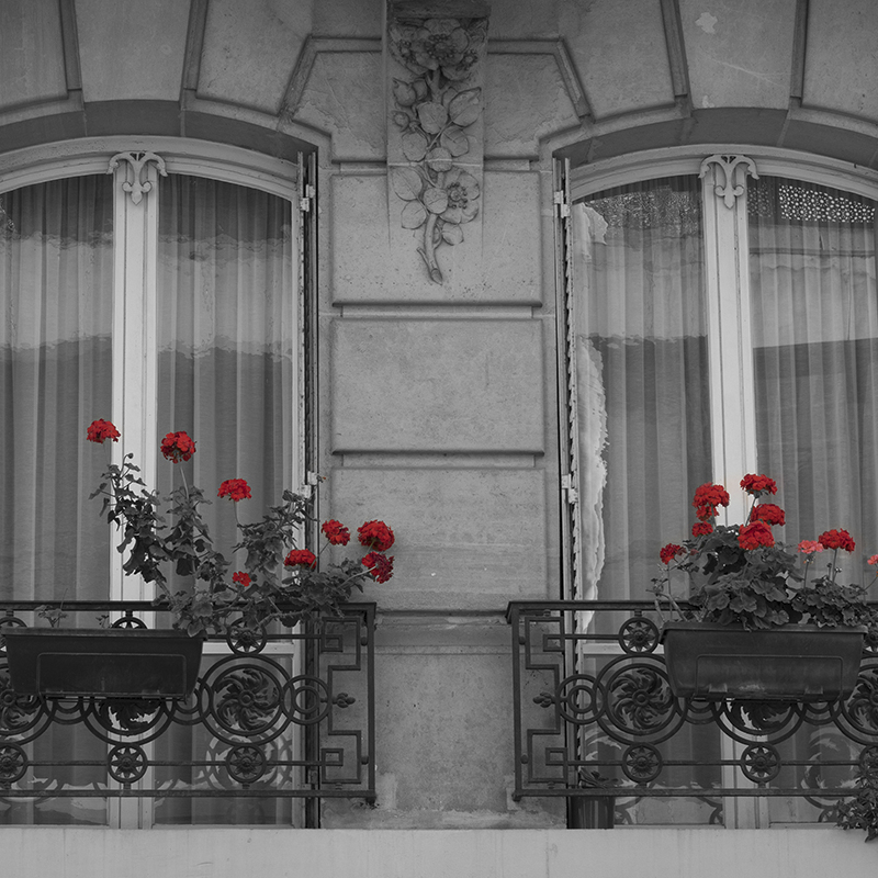 windows with red flowers