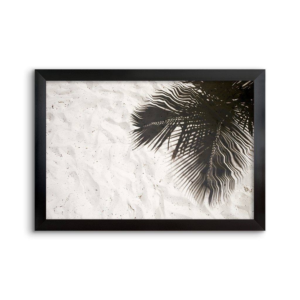 palm shadow 02